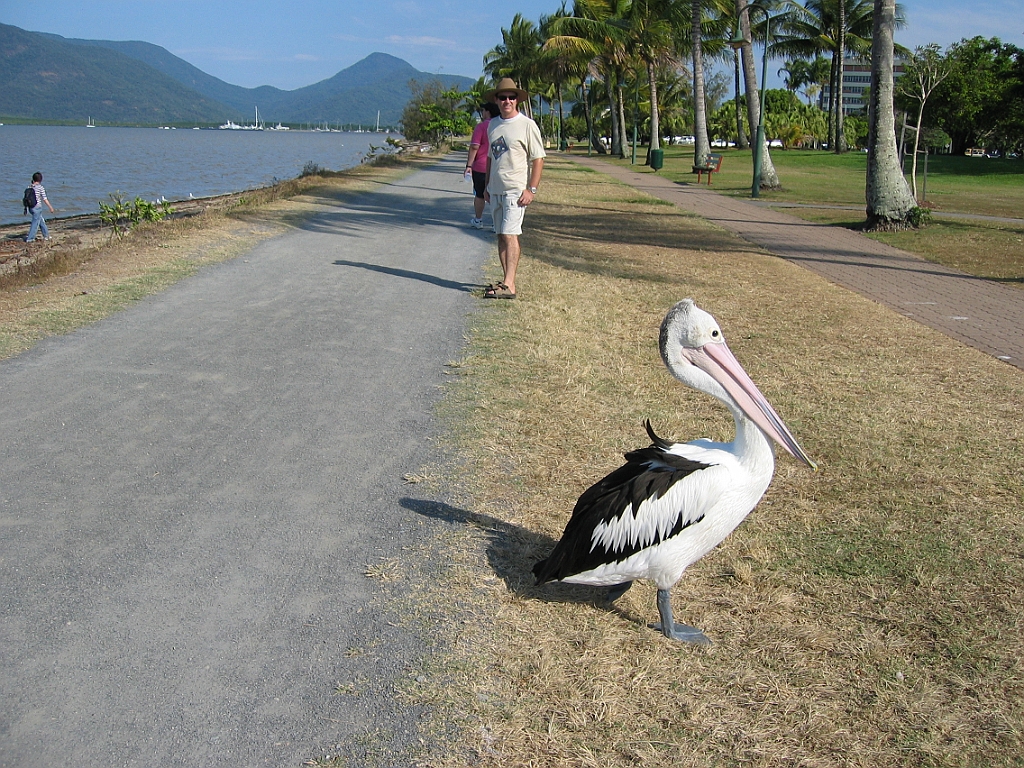 202 Cairns Esplanade.jpg
